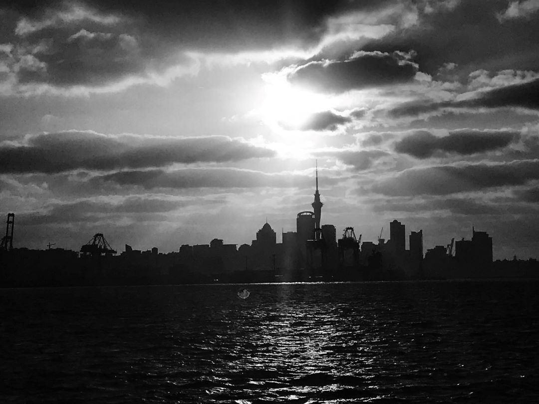 Some Opt Auckland skyline black & white